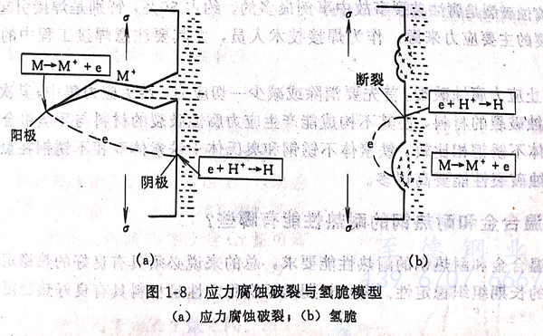 图 8.jpg