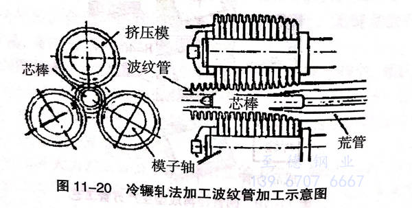 图 20.jpg