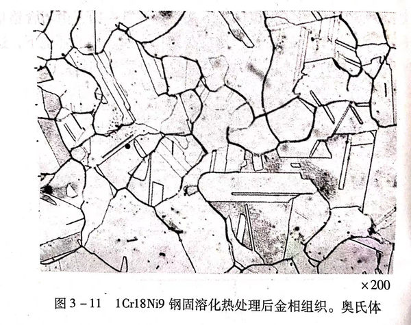 图 11.jpg