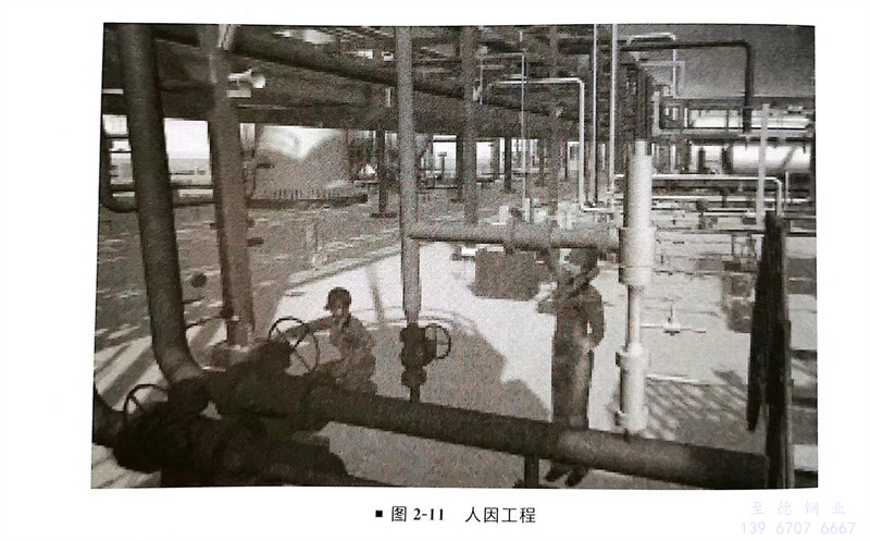图 11.jpg