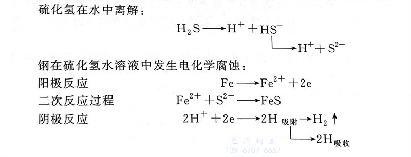 杂 1.jpg
